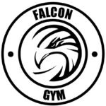 Falcongym - palestra milano - mma - corsi combat